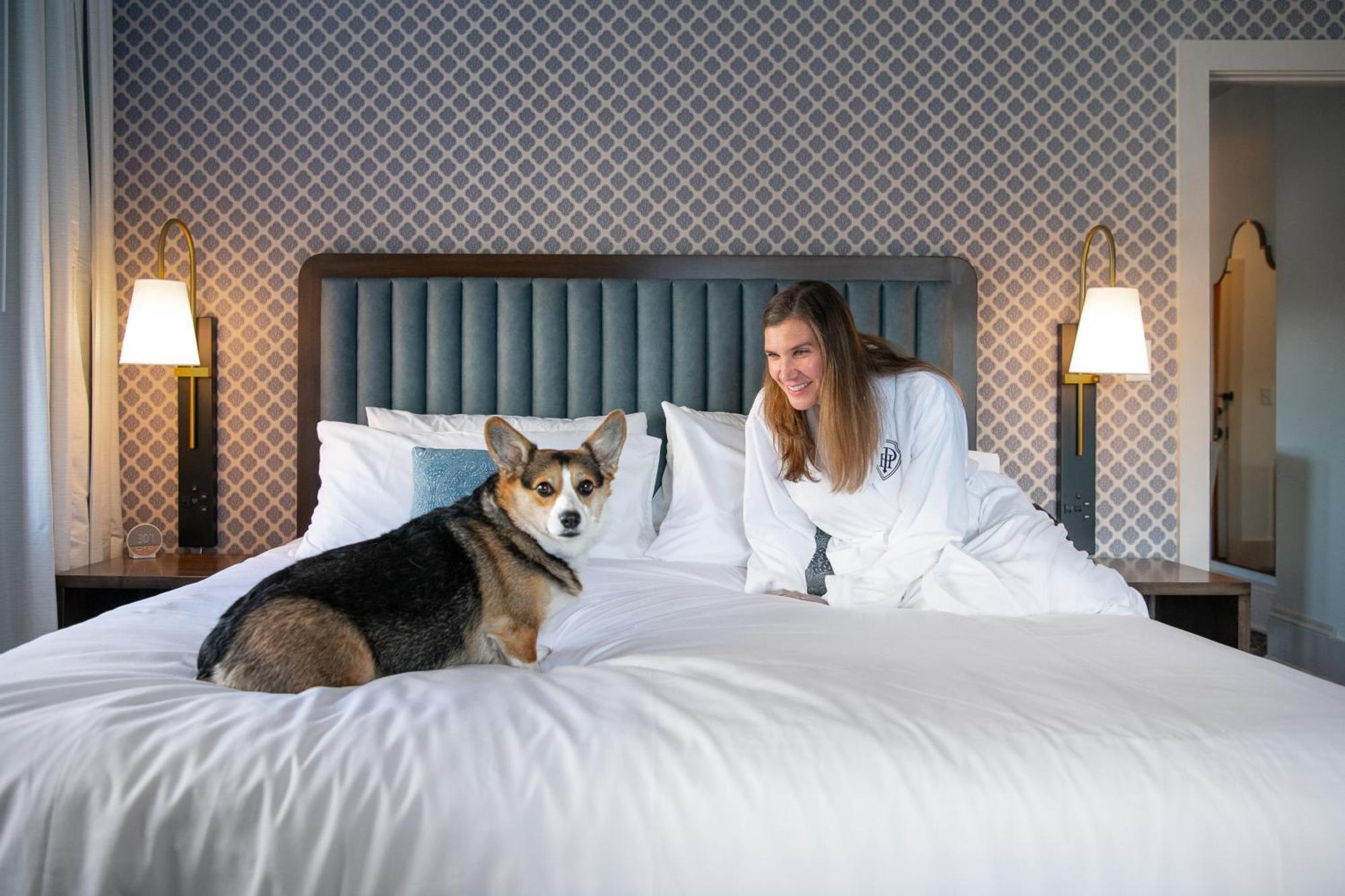 Hotel Petersburg, Tapestry Collection By Hilton Eksteriør billede